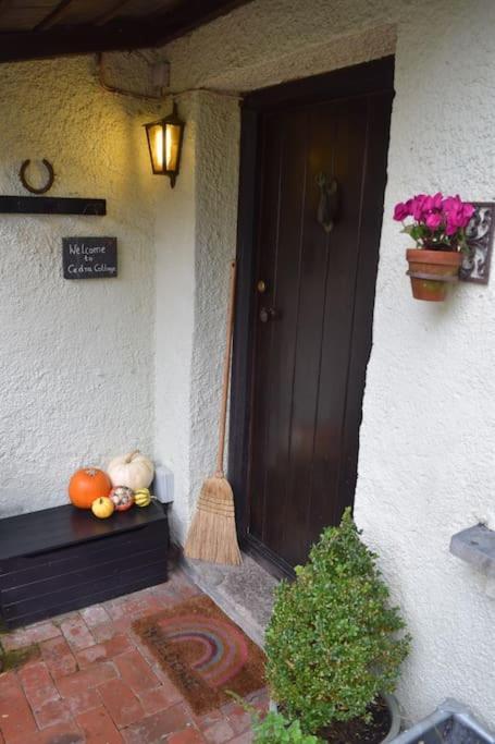 Cedra Cottage - Vintage Country Hideaway Аксмінстер Екстер'єр фото