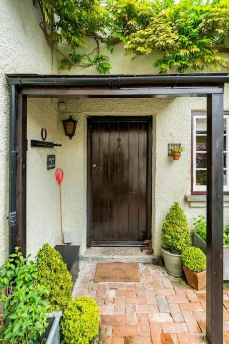 Cedra Cottage - Vintage Country Hideaway Аксмінстер Екстер'єр фото